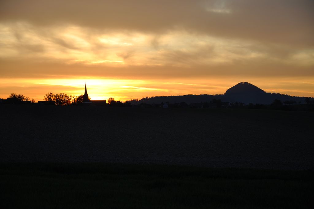 DSC 0529