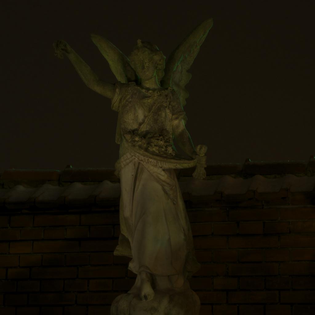 DSC 0536