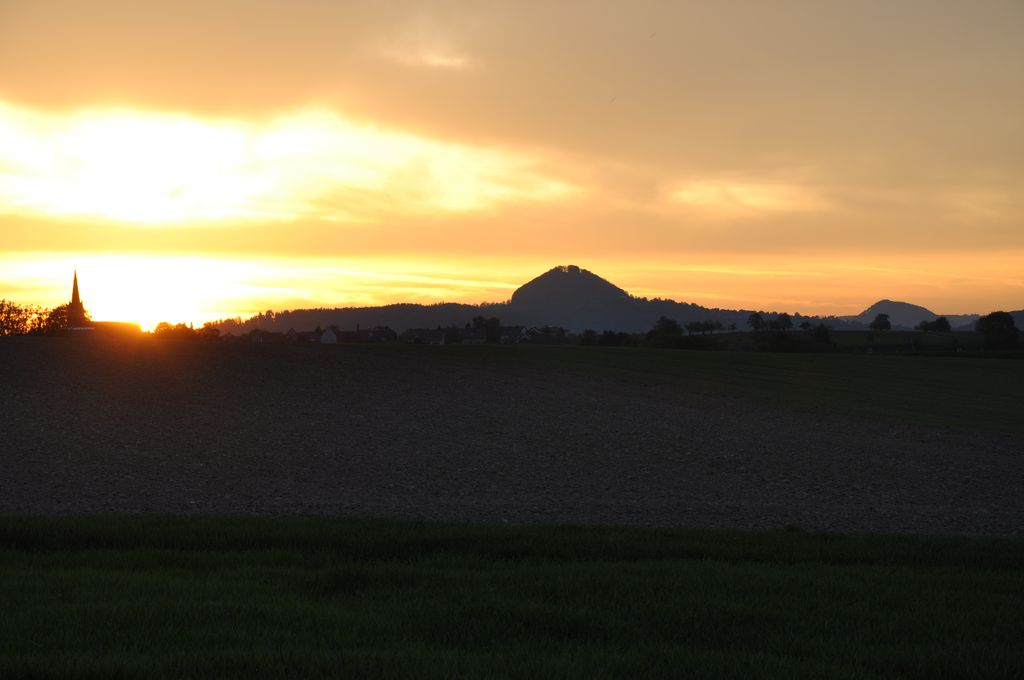DSC 0537