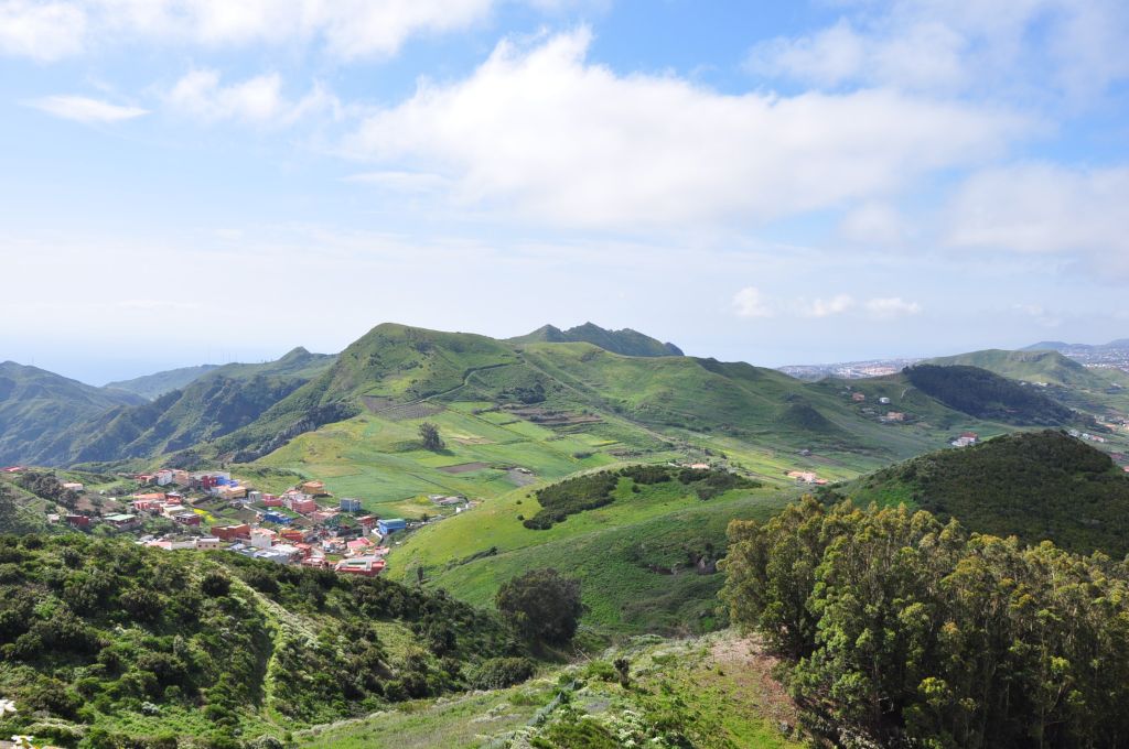DSC 0545