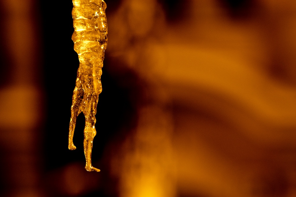 DSC 0551 01 1024x683