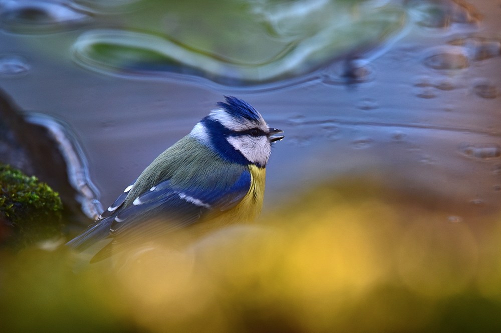 DSC 0551
