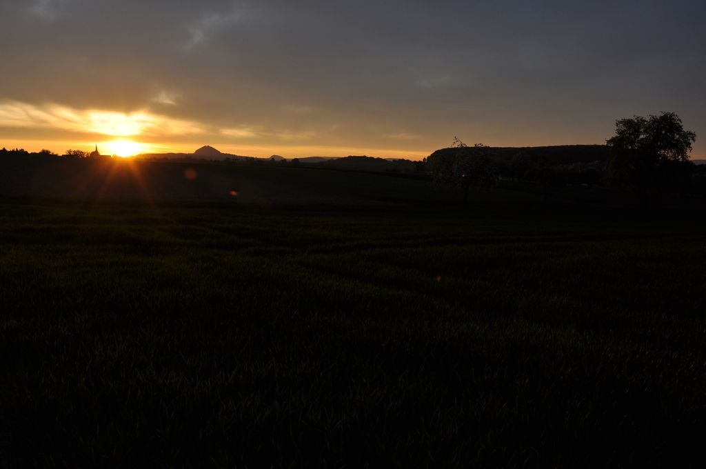 DSC 0551