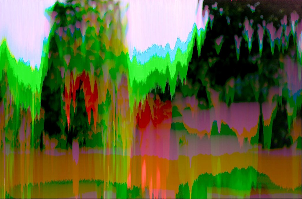 DSC 0552