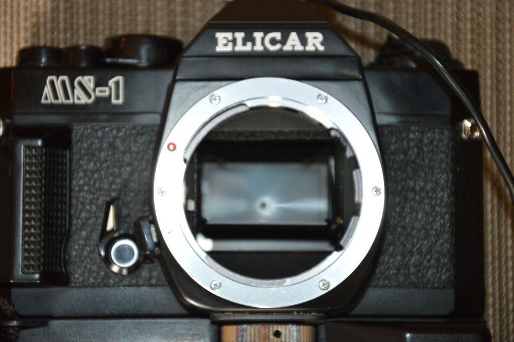 DSC 0565a