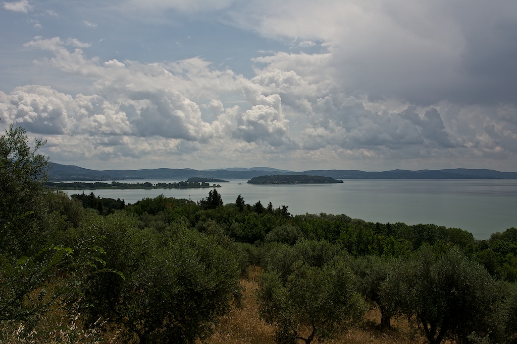 DSC 0565Umbria