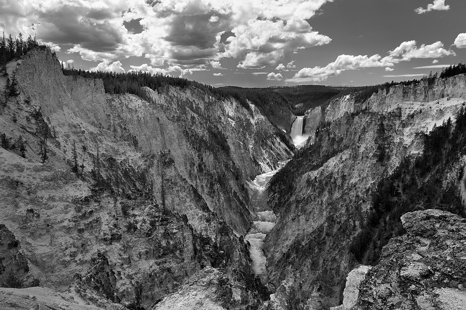 DSC 0602 sw NF-F
Grand Canyon of the Yellowstone