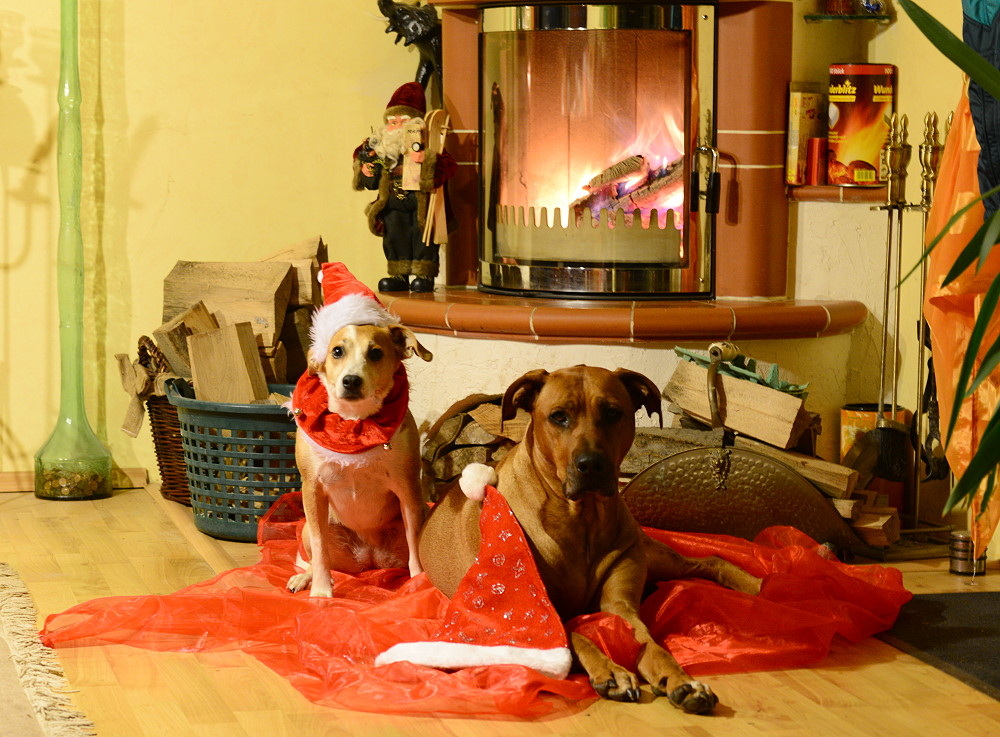 DSC 0610 5 12 2012