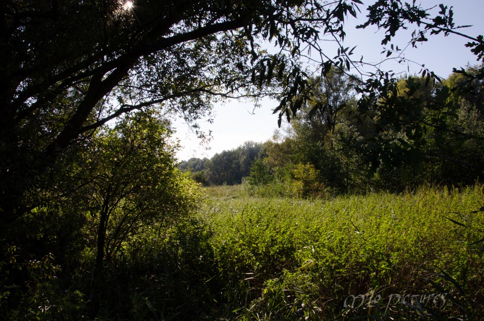 DSC 0636