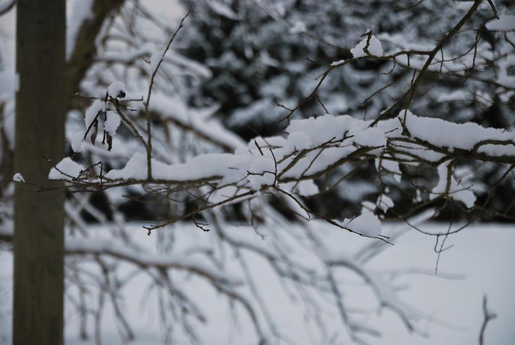 DSC 0653 Neuschnee 1 a