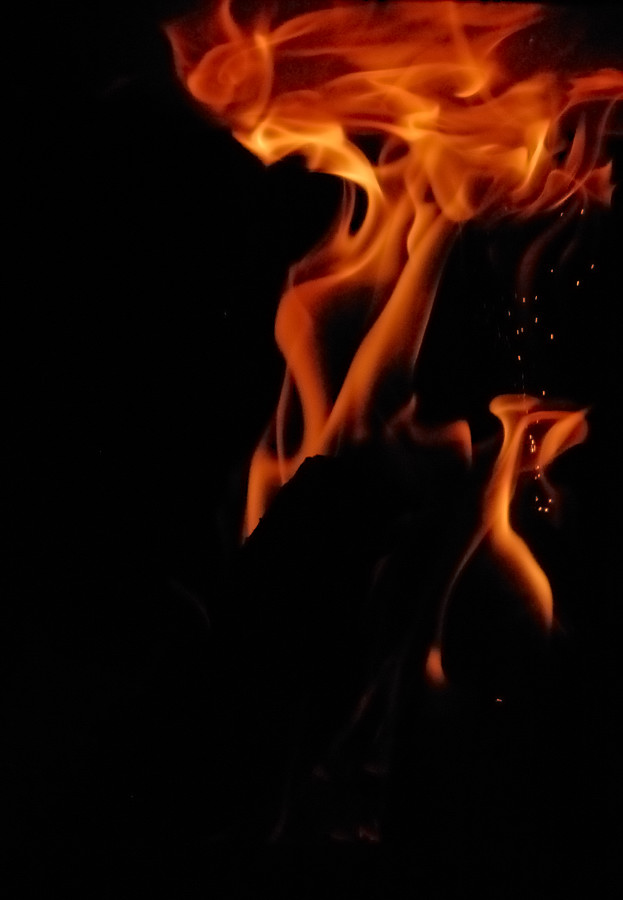 DSC 0665