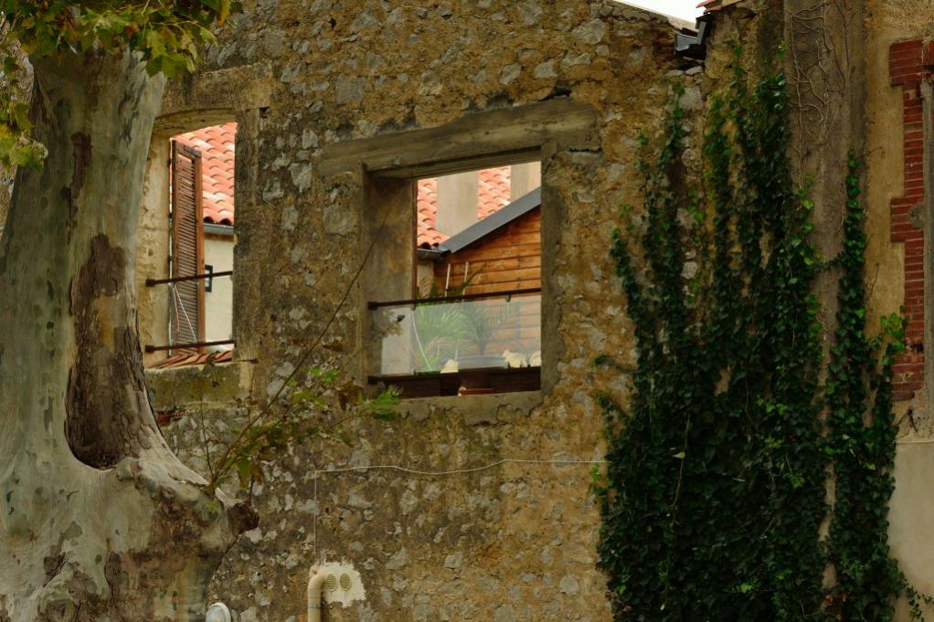 DSC 0666