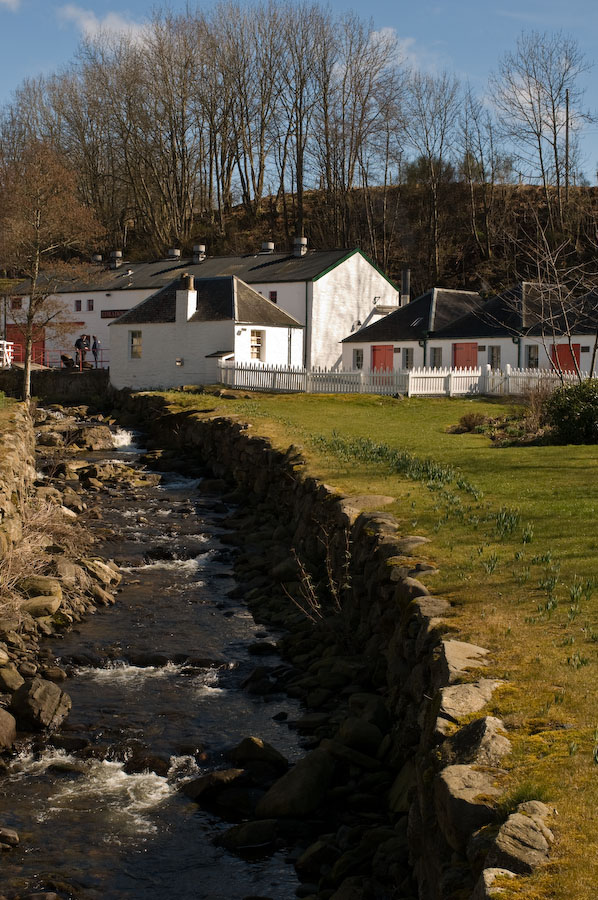 DSC 0702