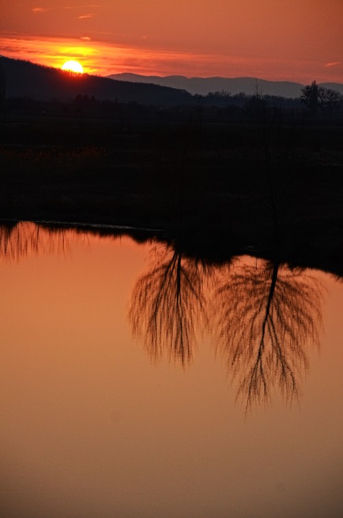 DSC 0736 ji