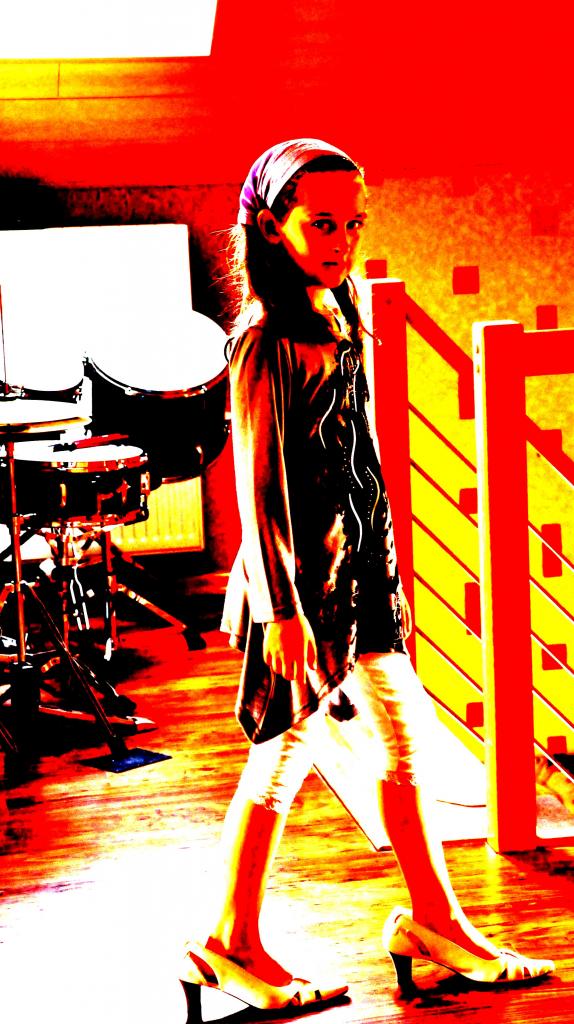 DSC 0842a