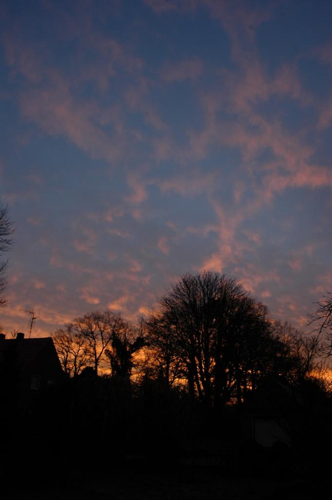 DSC 08461656DSC 0846