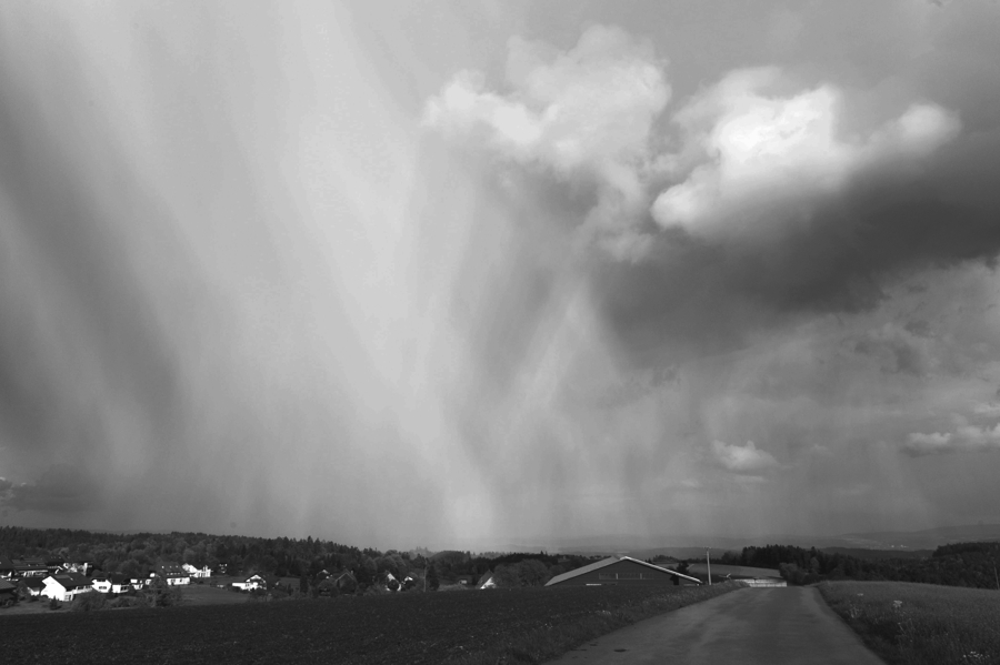DSC 0857 web bw