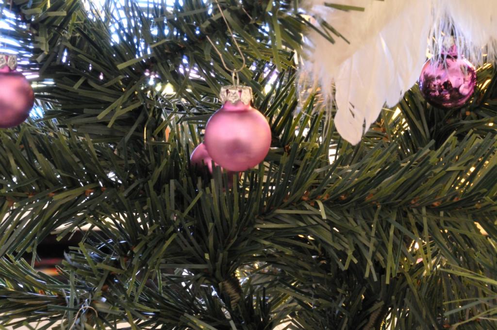 DSC 0873, geschossen im Dunklen raum mit Weihnachtsbaumbeleutung im Modus A, Lange Belichtung, Stativ benutzt.