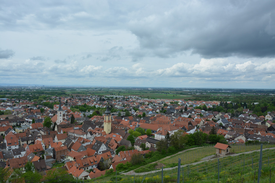 DSC 0901 bearbeitet 1