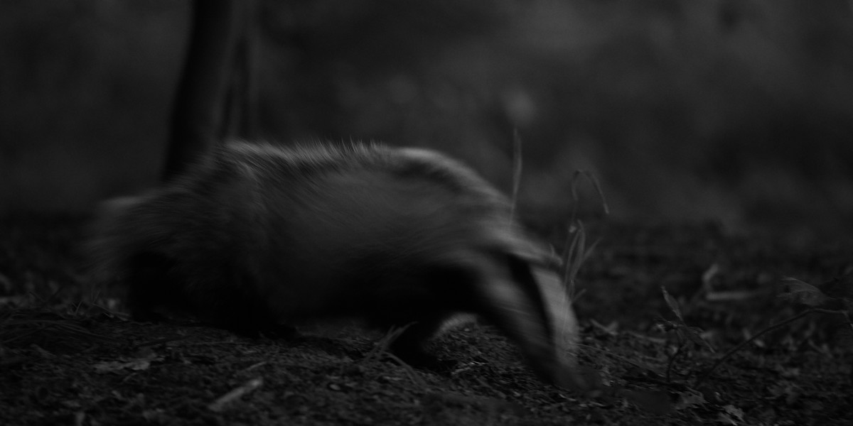DSC 0905 1
