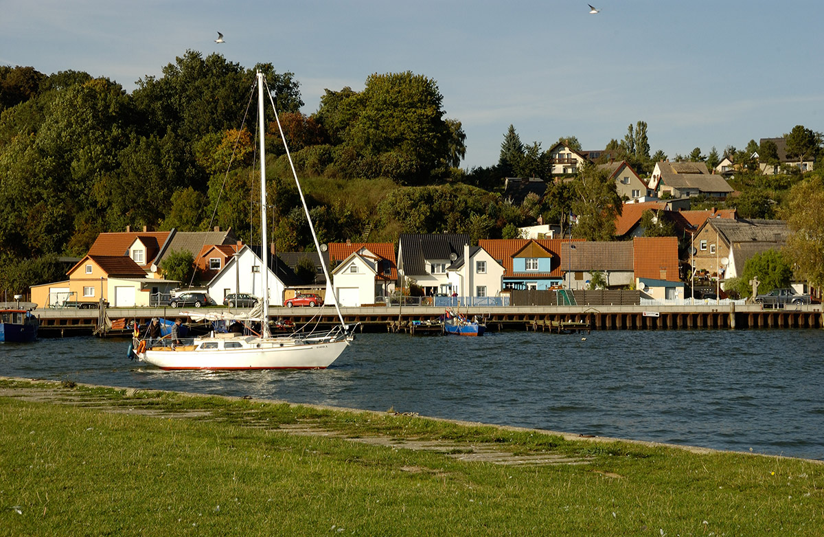 DSC 0909xl