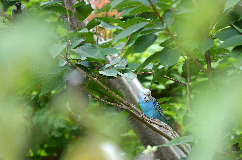 DSC 0919