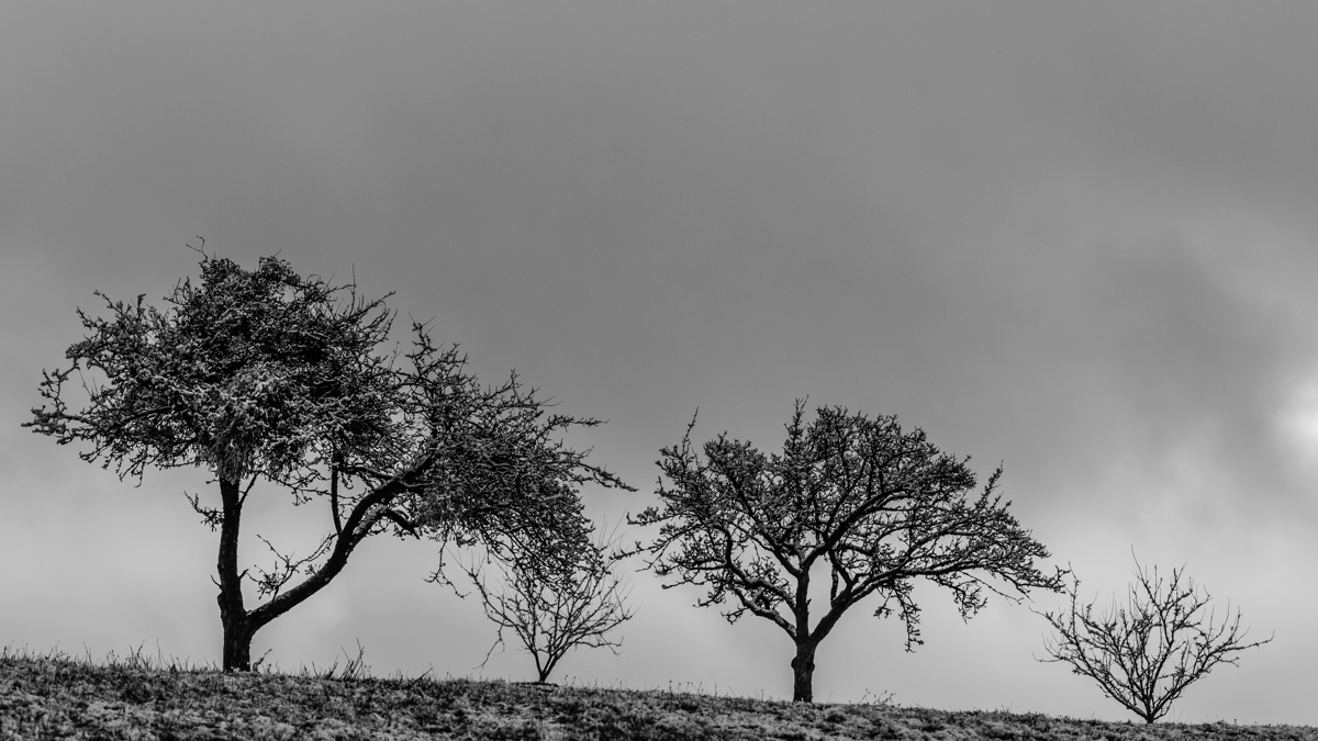 DSC 0940x