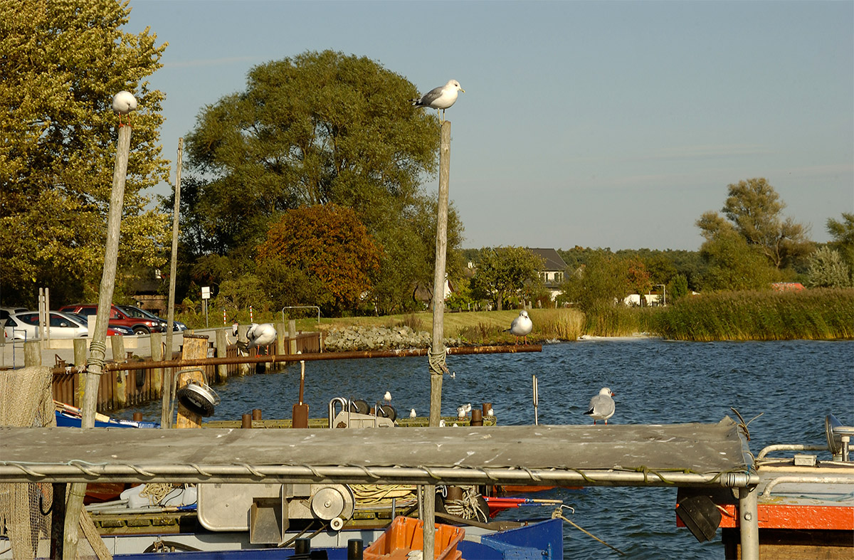 DSC 0948xl