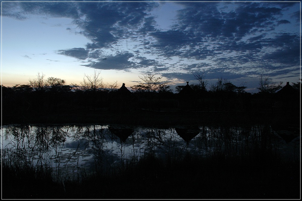 DSC 0978