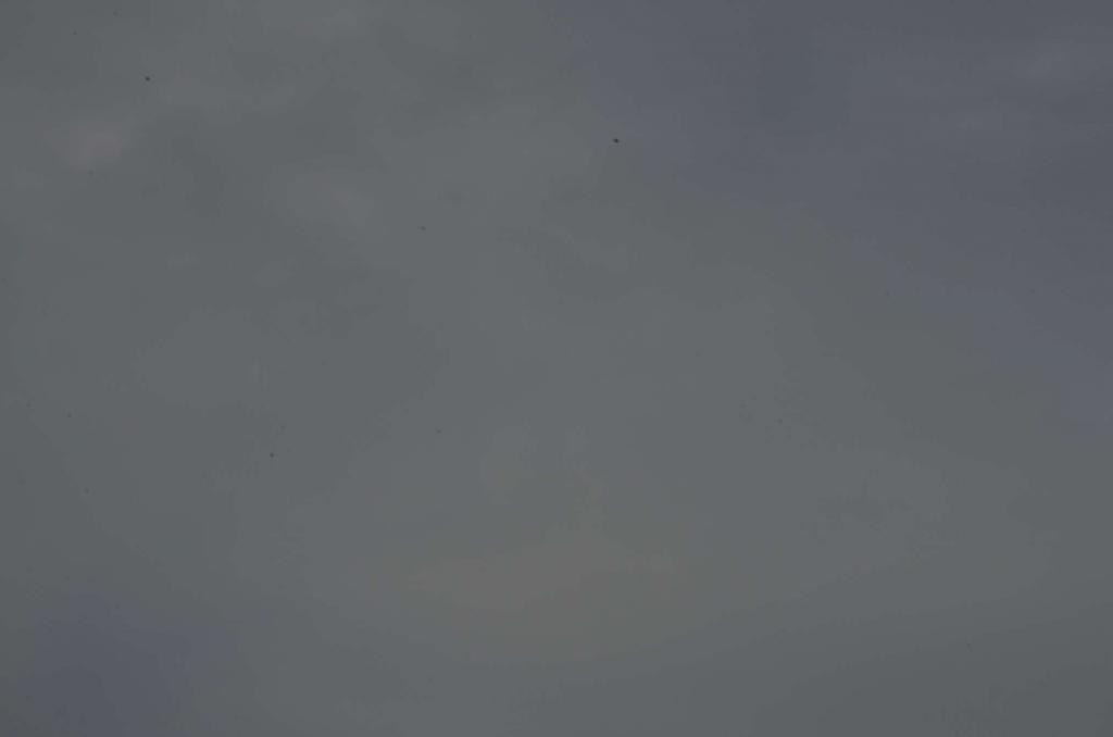 DSC 0984 01