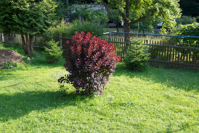 DSC 0999