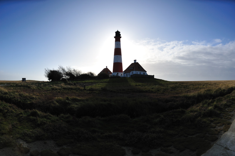 DSC 1001 001