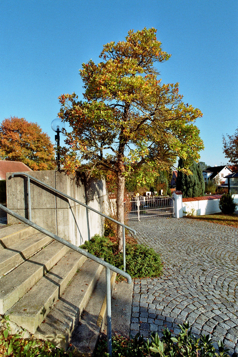 DSC 10015