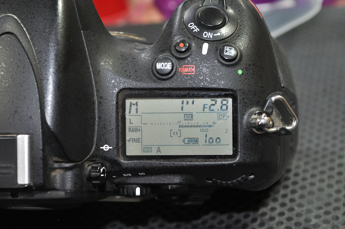 DSC 10139
