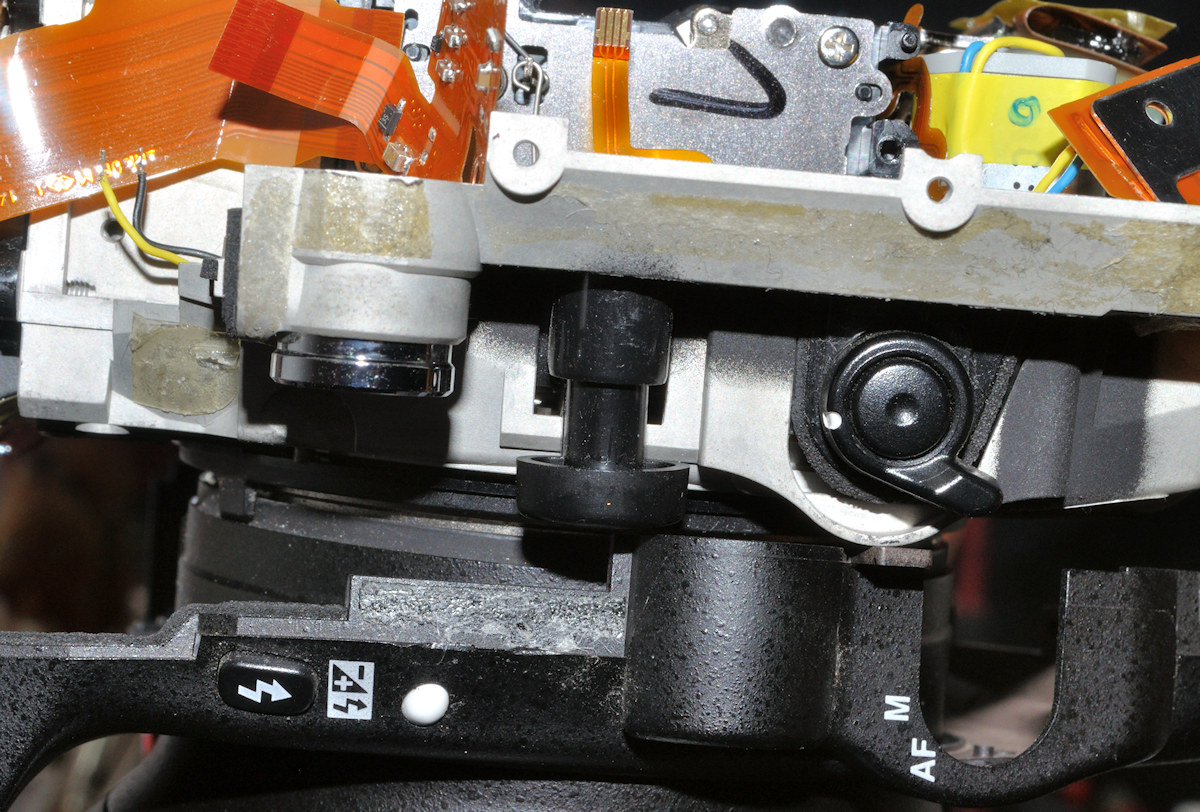 DSC 10290
