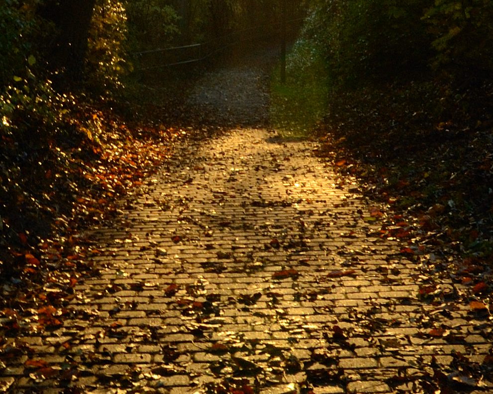 DSC 1034 crop