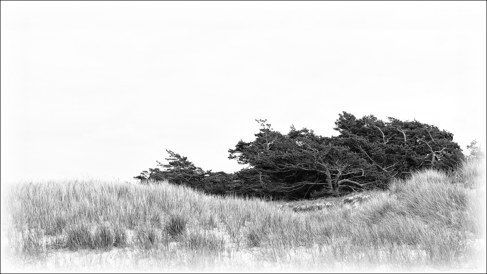 DSC 10343   Darßer Ort B&W