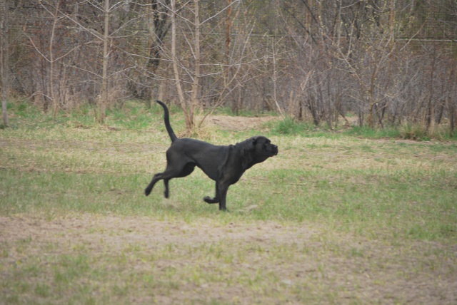 DSC 1085 640x428