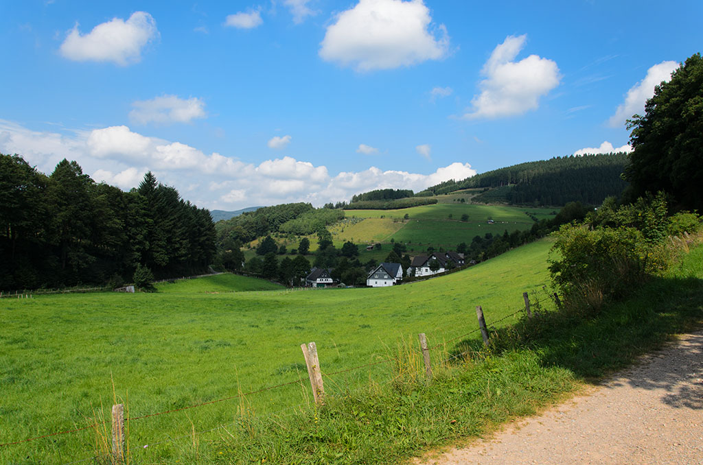 DSC 1106