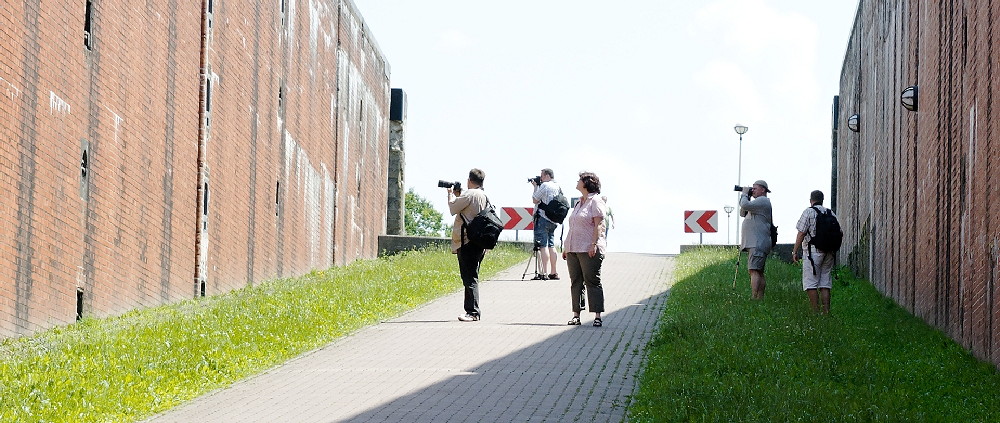DSC 1125 dxo 1000