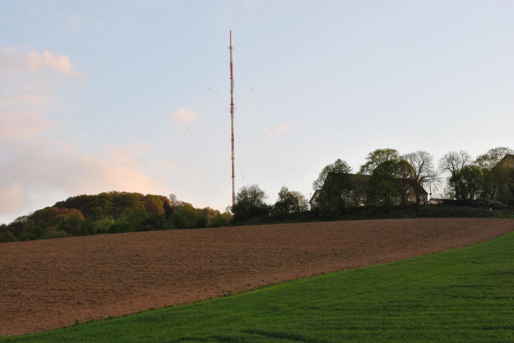 DSC 1126 1024