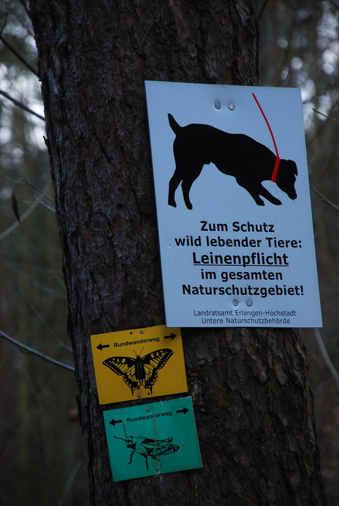 DSC 1134 b Bildgröße ändern