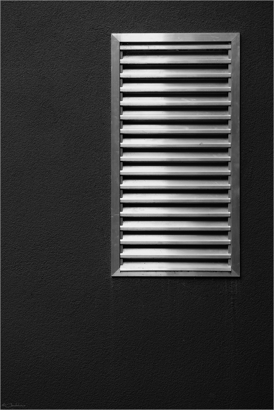 DSC 11841