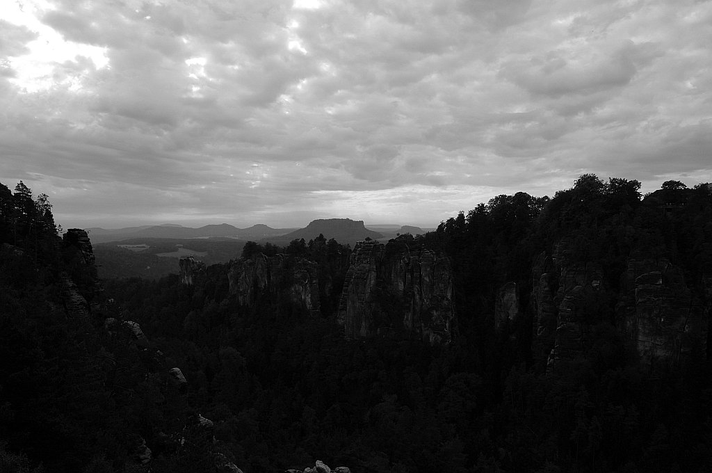 DSC 1241