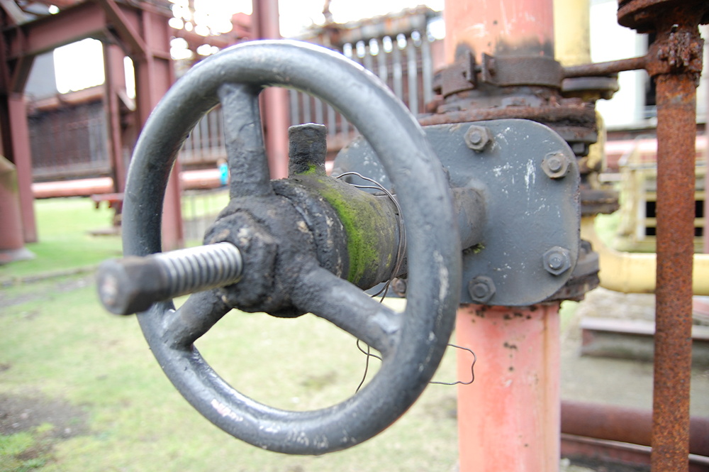 DSC 1278