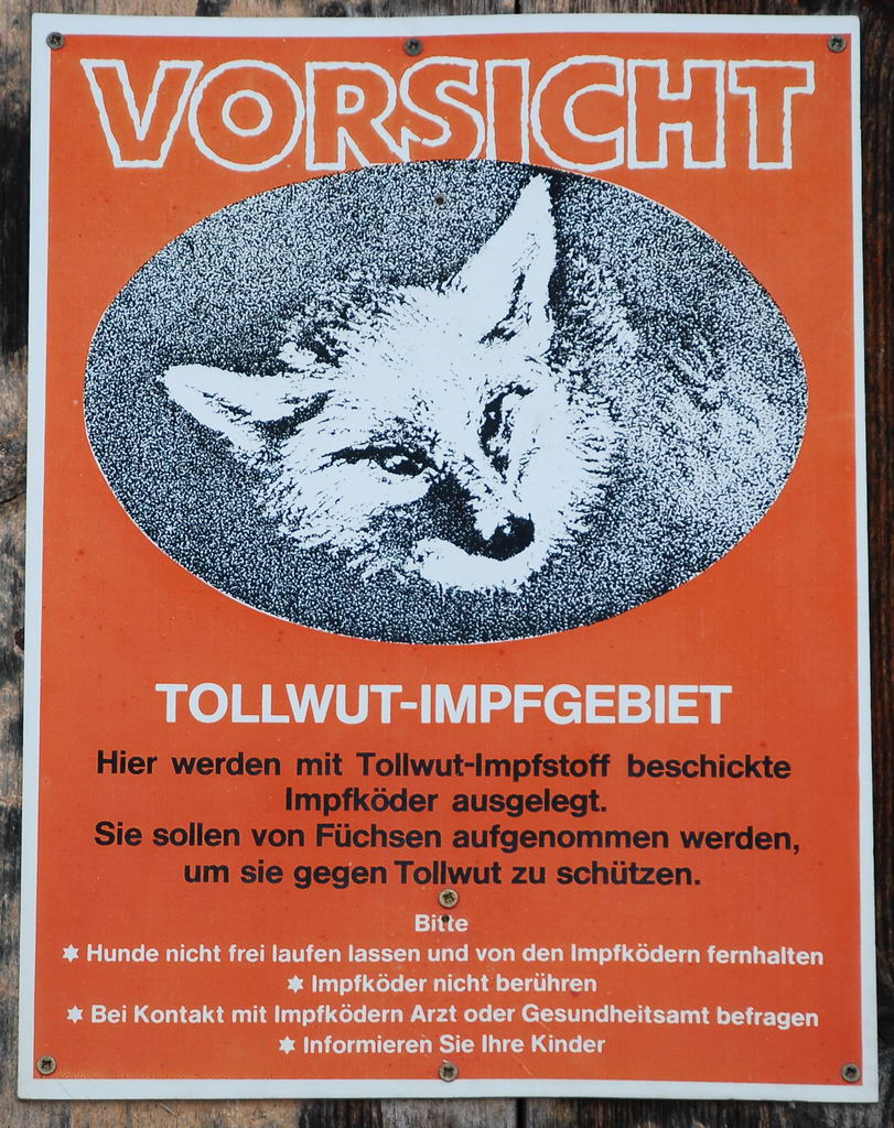 DSC 1372 b Bildgröße ändern