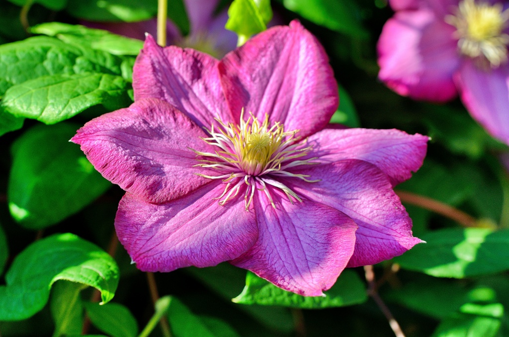 DSC 1434 Snapseed