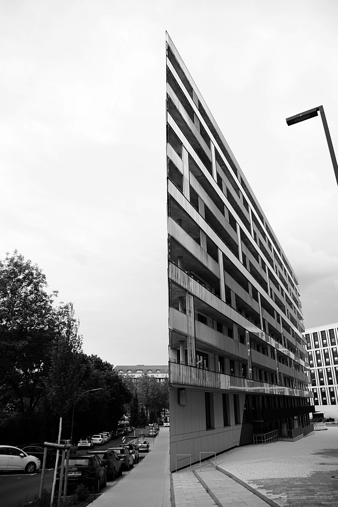 DSC 1437