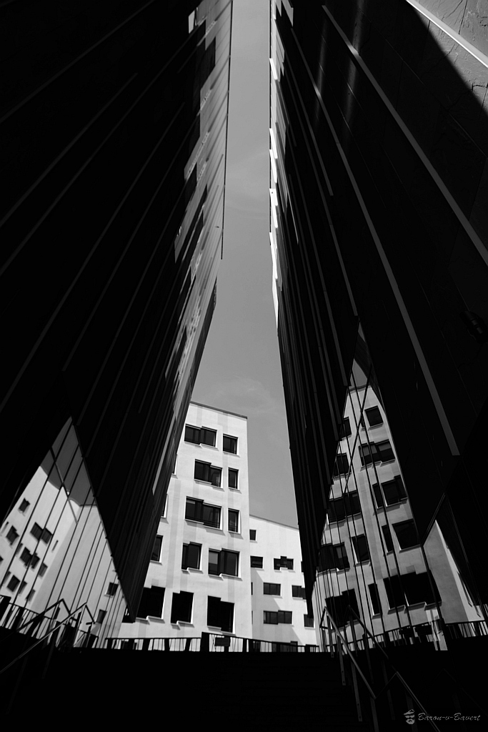 DSC 1482