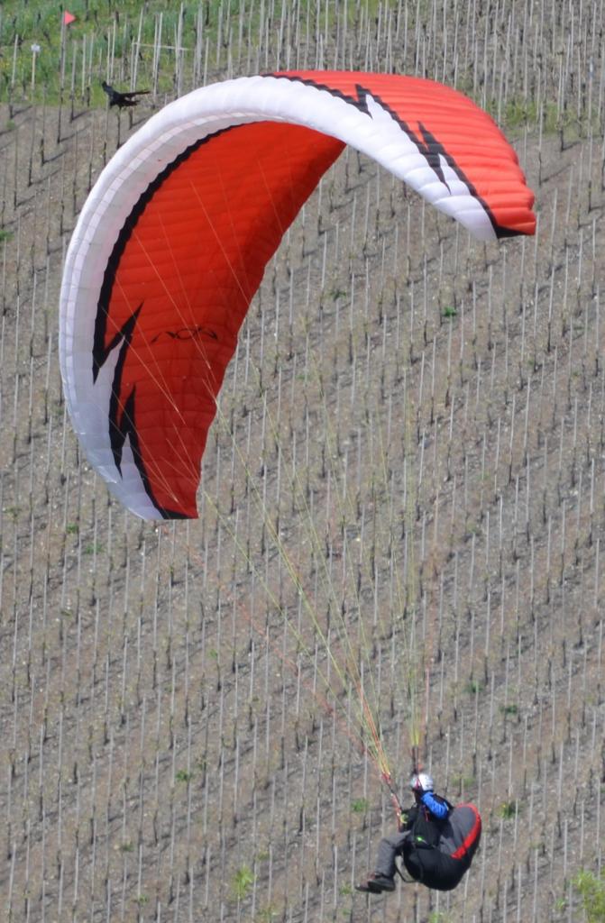 DSC 1489